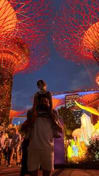 Unforgettable Day and Night at Gardens by the Bay, Singapore