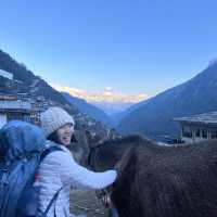Mountain View Stay 