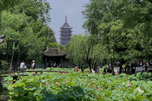 中国・蘇州】夏は蓮の花が一面に咲き乱れる庭園・拙政園（世界文化遺産