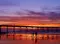 xandrellia_2336