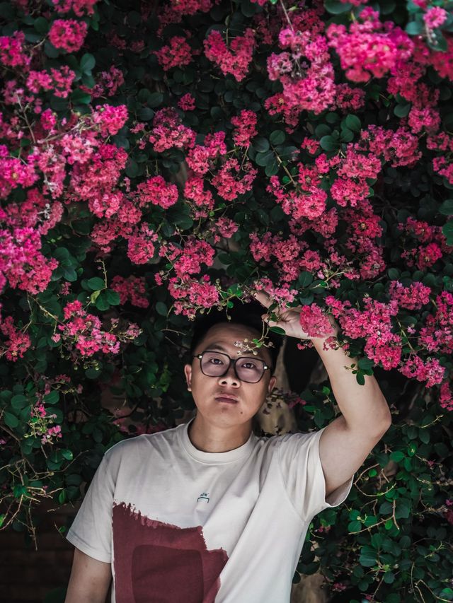 去紫薇瀑布下淋一場花雨🌸
