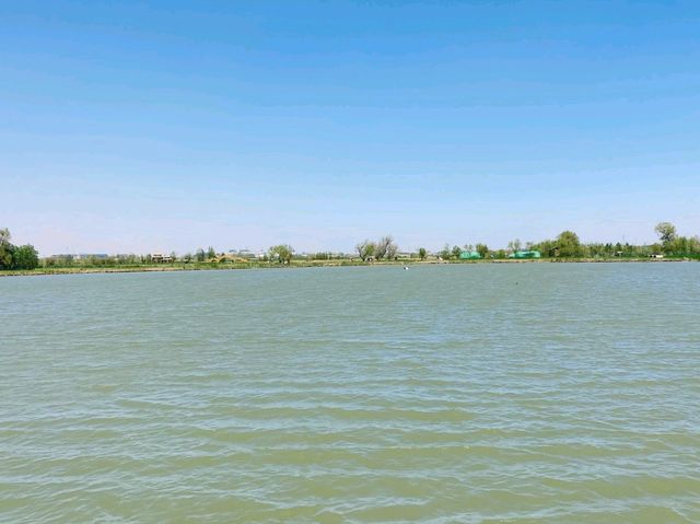 Wetland Park in Zhangye,China 🇨🇳