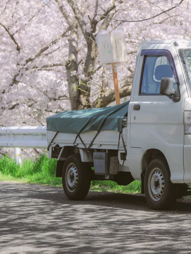 The ordinary street view looks better with flowers.