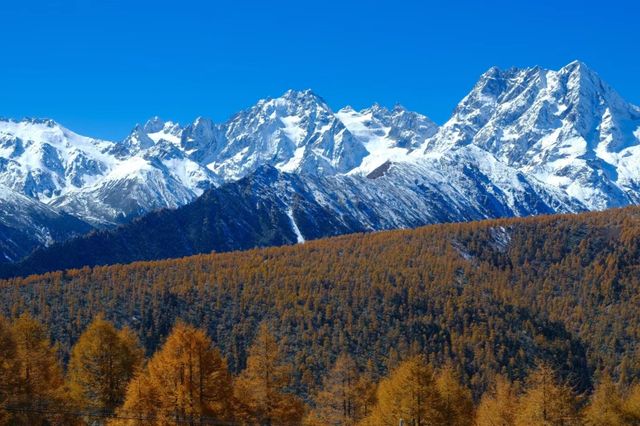 梅里下來我在白馬雪山拍到了人間油畫