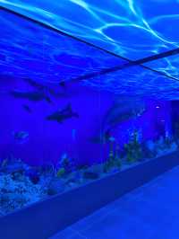 廣州｜廣東中醫藥博物館