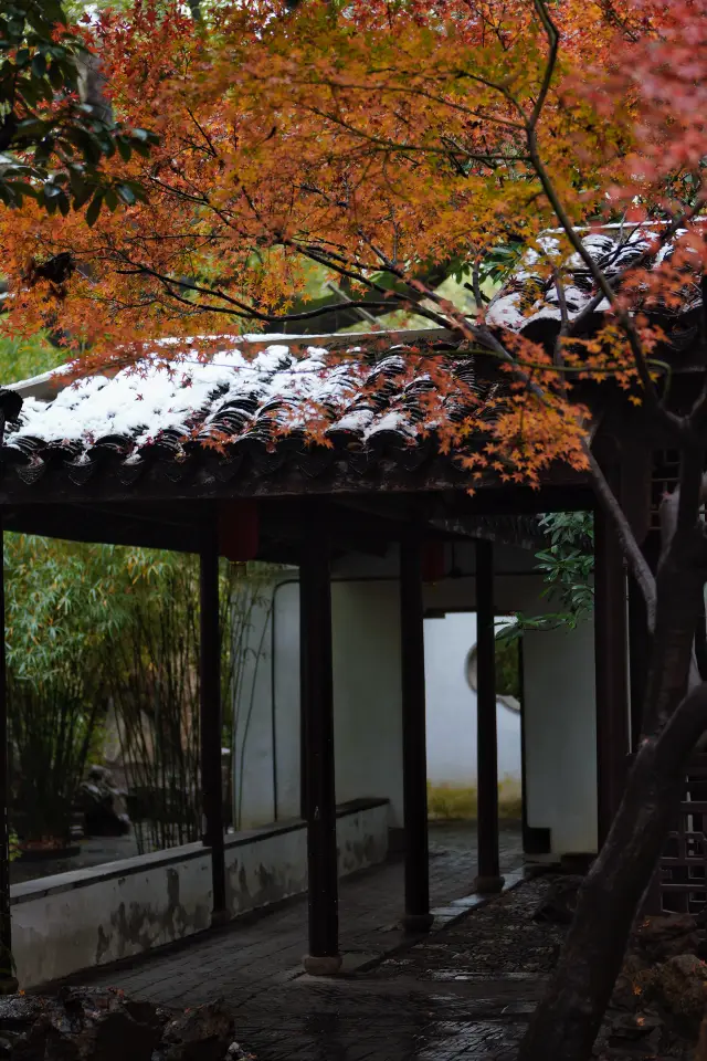 この大雪は赤いカエデとは無関係のようで、一人で美しく、邪魔しないでください