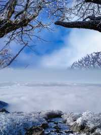 上海當日往返人回來了，魂還在冰天雪地