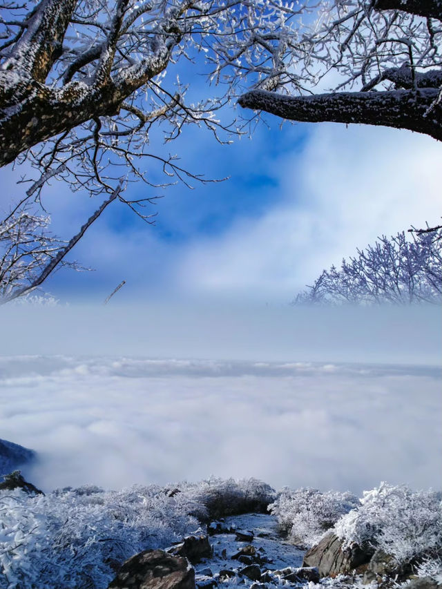 上海當日往返人回來了，魂還在冰天雪地