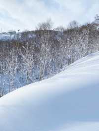 二世谷最大滑雪場——比羅夫滑雪場