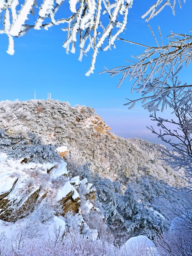 賞雪攻略！打卡沂蒙山冬日美景，美得讓人窒息！