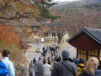 발걸음을 멈추게 하는 멋진 명소로 가득한 대구