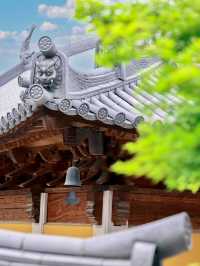 先照寺的遊玩攻略
