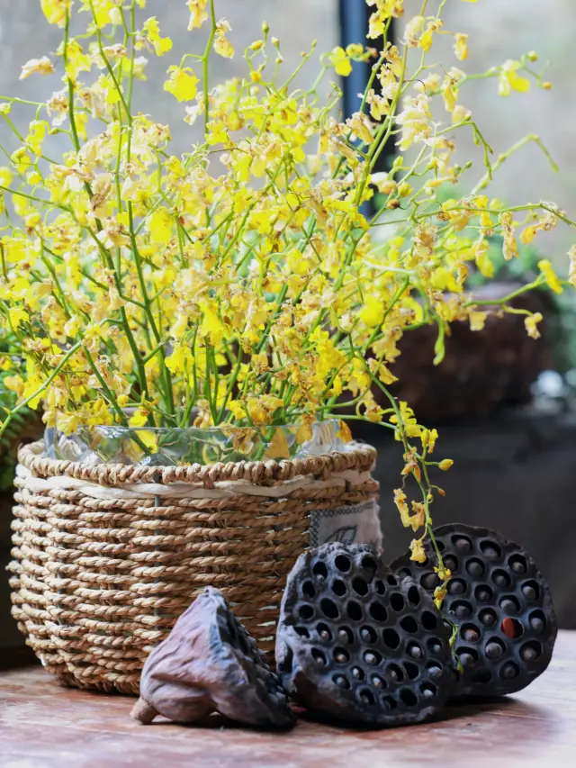 Jizhao Temple in Dali | Enjoying flowers and vegetarian food, leisurely and freely!