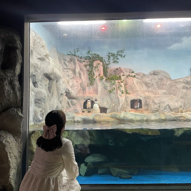 可以和海邊朋友約會的水族館