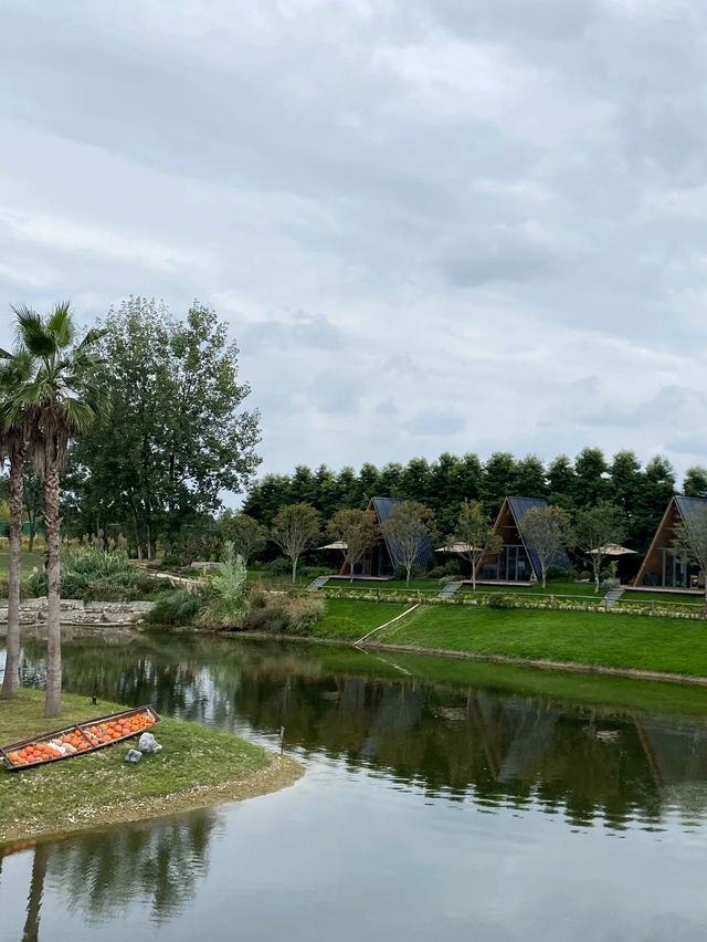 這個秋天的石町谷營地很有意思