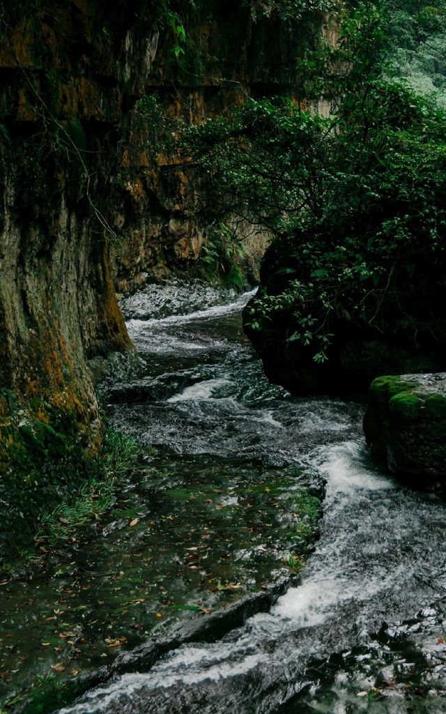 藏在昭通大關深山裡的森林瀑布群遊玩攻略