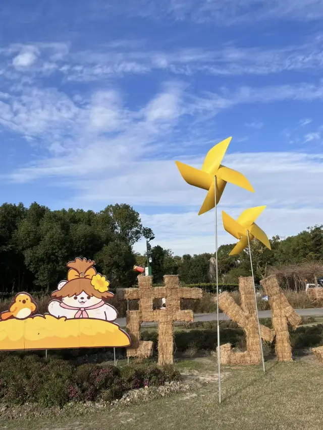 上海週末好去處|嘉北郊野公園  週末發現一個寶藏公園~  公園面積很大，進來能感受到濃烈農村的風貌