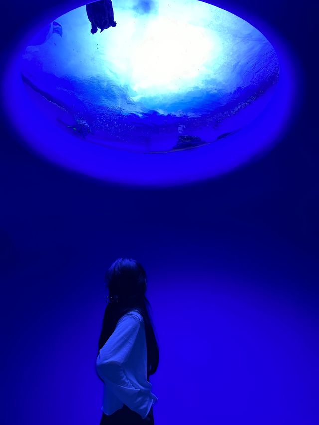 深圳海洋館!!超好拍三個區域遊玩:夢幻水母繽紛珊瑚