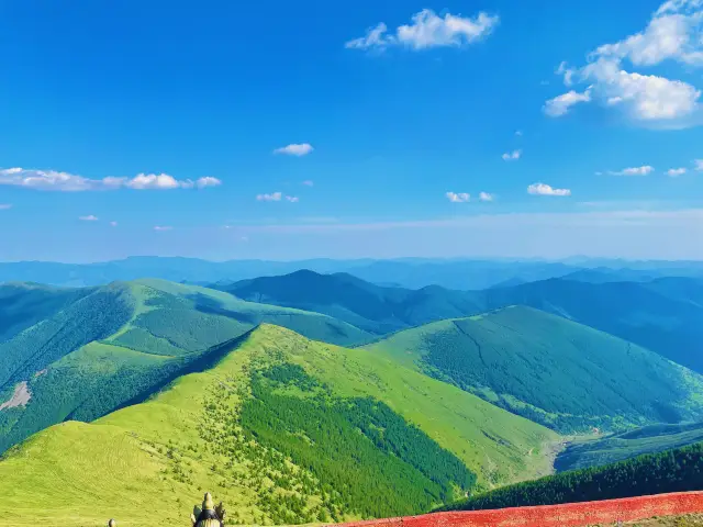 Xinzhou City| Complete Guide to Wutai Mountain Pilgrimage