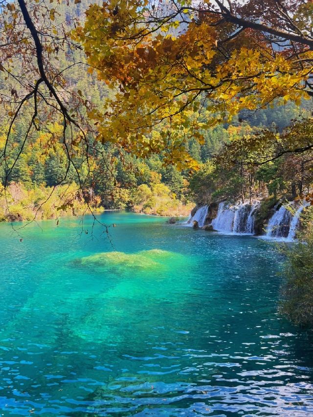 絕美秋景—九寨溝