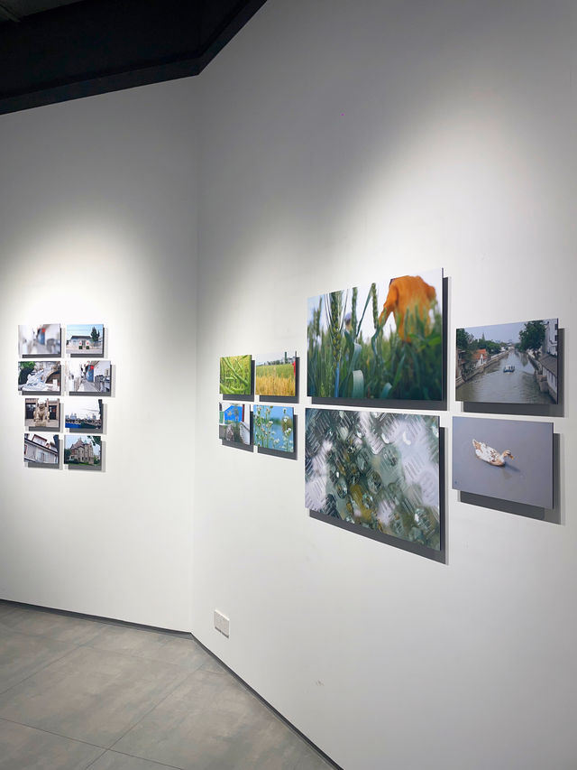 暑你會玩 | 0元展《拍拍看:透過鏡頭,看世界》 暑你會玩 | 0元展《拍拍看:透過鏡頭,看世界》