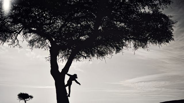 非洲 你們都曾夢想過嗎？這裡是我的大本營