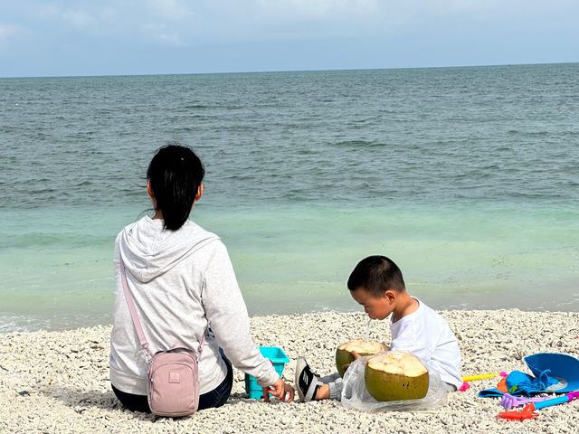 珠涌萬泉流玉河，風吹椰樹舞婆娑
