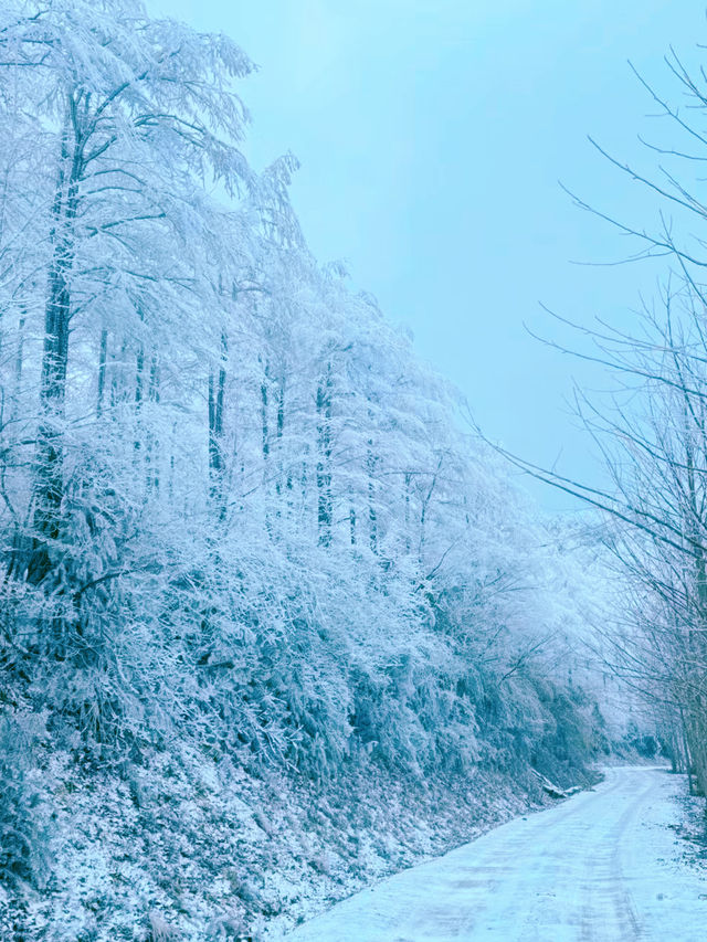 一山賞盡秋山雪色，四明山自駕路線及機位