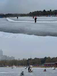 小土豆們，長春南湖公園等你們來探險！