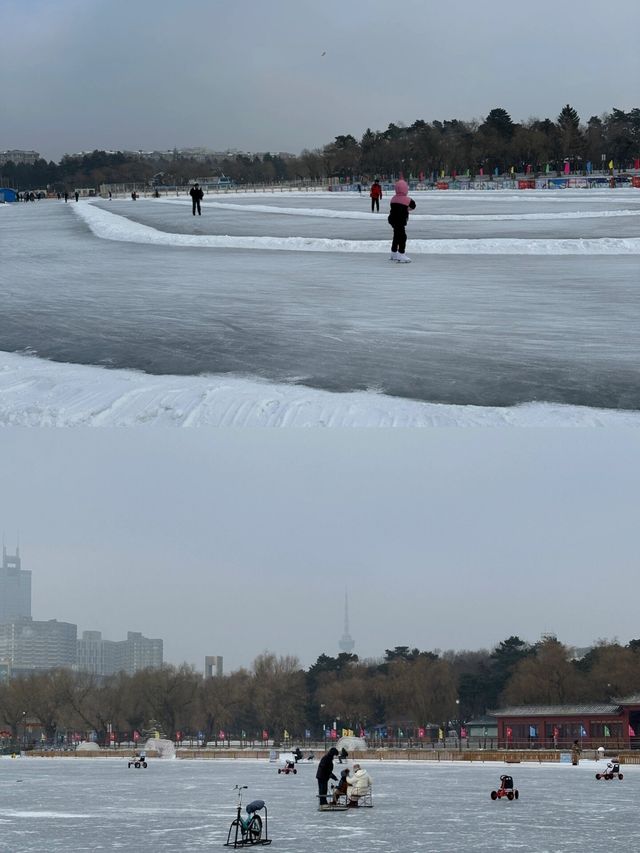 小土豆們，長春南湖公園等你們來探險！