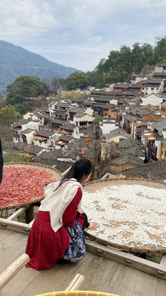 강서 우원 이틀 밤 여행 요약 코드를 머물다