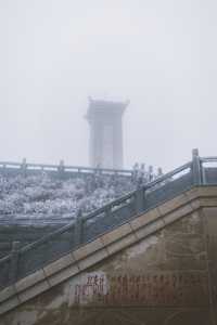 看看陽明山的霧凇