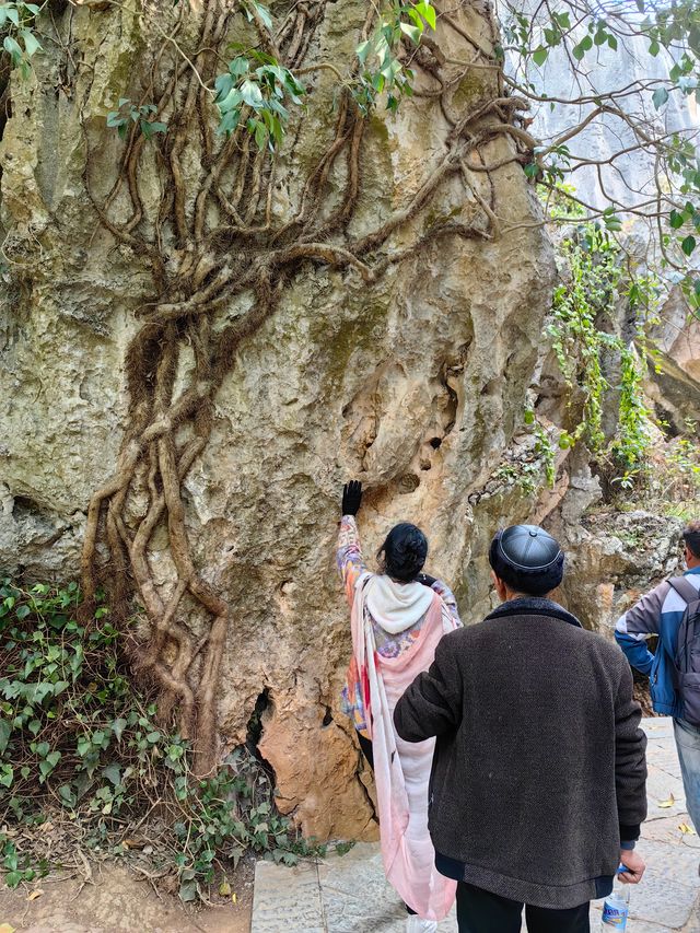 雲南昆明石林丨阿詩瑪的故鄉，山石雕塑奇峰羅列