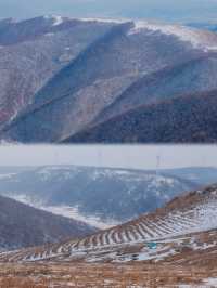 初春崇禮三樑｜又遇風雪交加的山野體驗