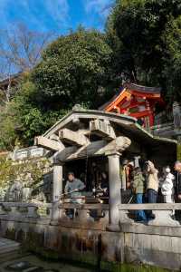 京都旅行必打卡，人氣爆棚的千年古剎