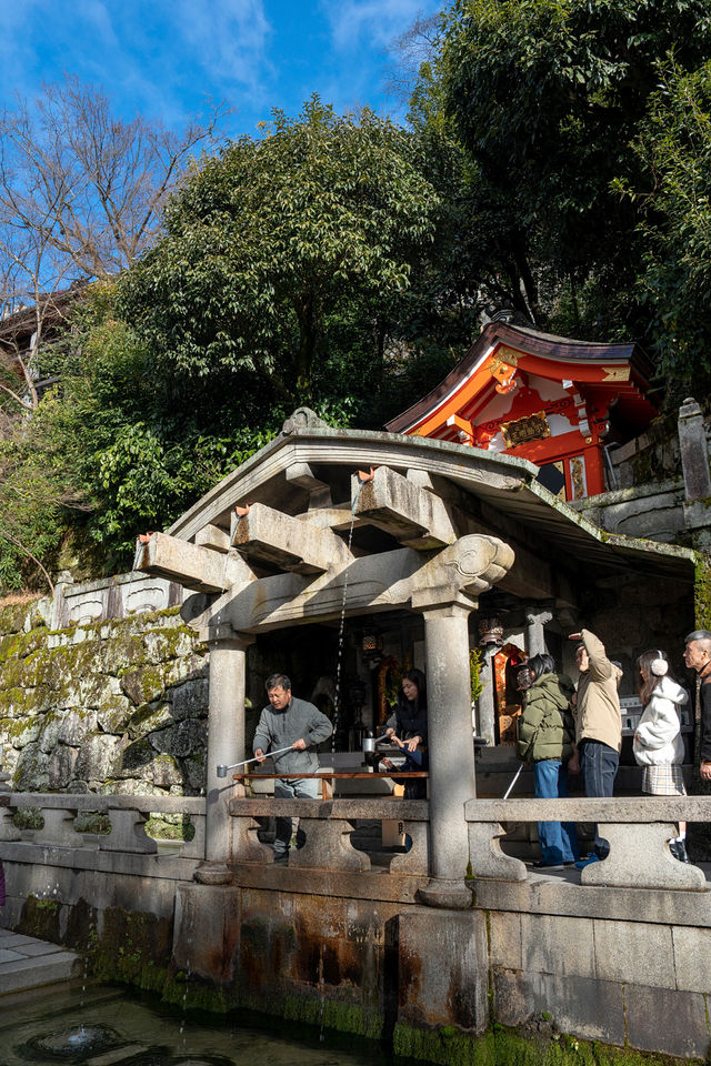 京都旅行必打卡，人氣爆棚的千年古剎