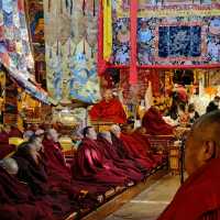 8 Days Exploring Tibet