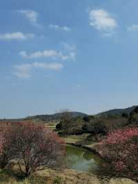 春遊記 沉醉在這一池碧水藍天中