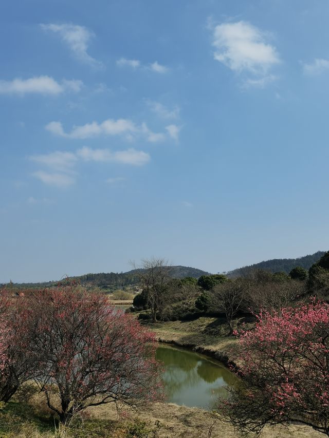 春遊記 沉醉在這一池碧水藍天中