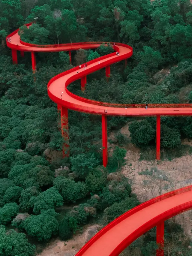 Shenzhen's rainy day destination, Guangming Rainbow Bridge Park|||