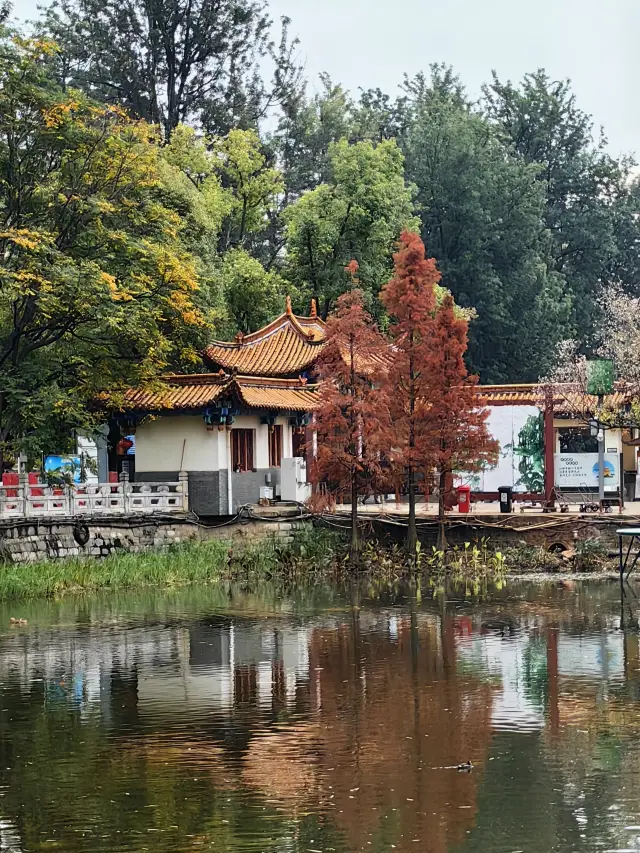 昆明市の真珠とも言える翠湖公園