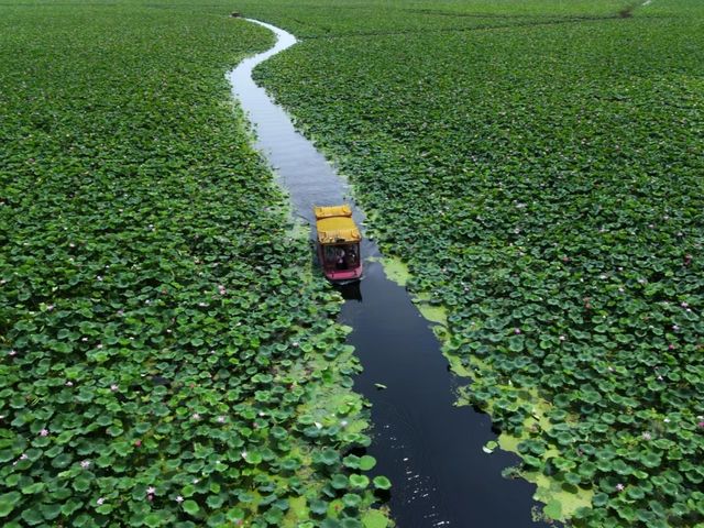 君山島