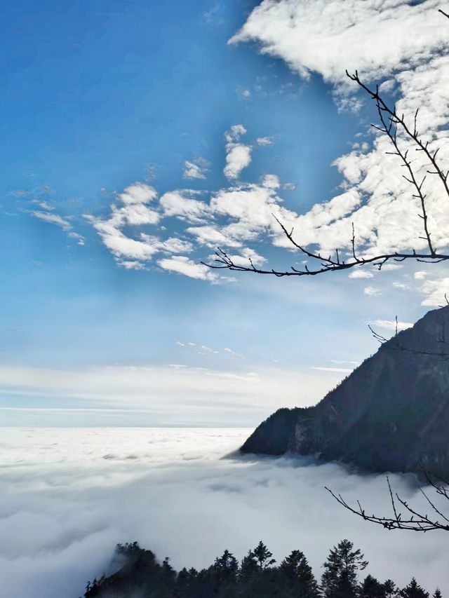 小城裡的天然氧吧