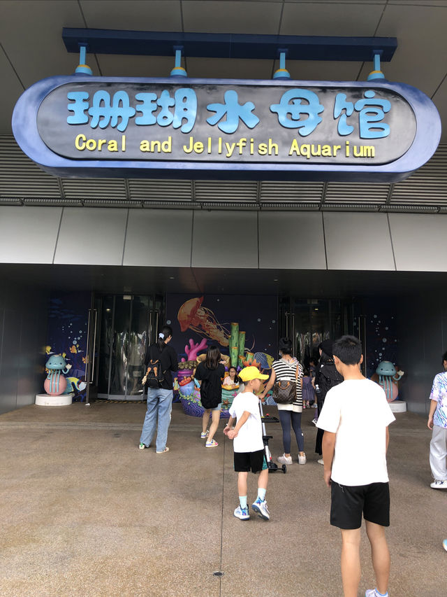 長假遛娃絕佳地｜上海海昌海洋公園珊瑚水母館，夢幻般的海底世界