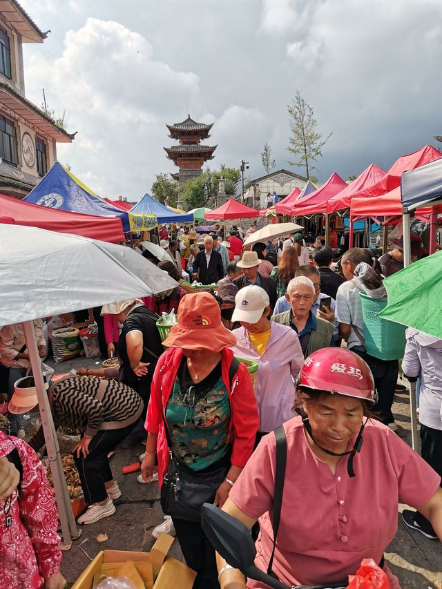 旅居大理|首遇三月街赶集