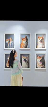 上海看展｜愚園路100隻狗狗的肖像！