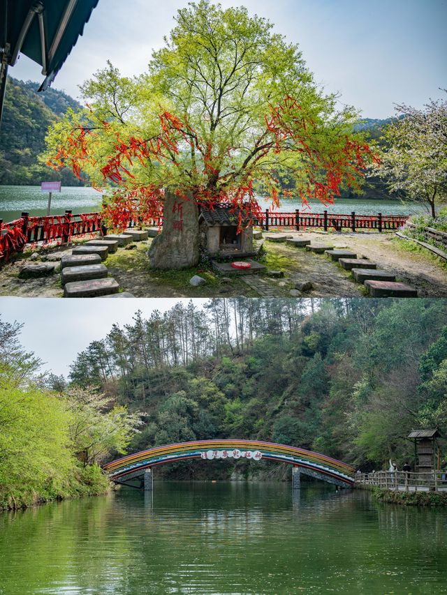 武漢周邊登山遊，清涼寨微微出出汗