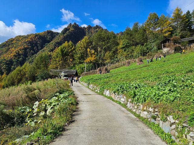 阿壩州小眾賞秋勝地