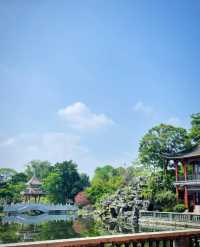 順峰山公園美景