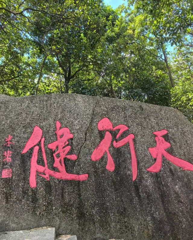 悄悄告訴您！這座山可玩性的太多了，再不來就out了